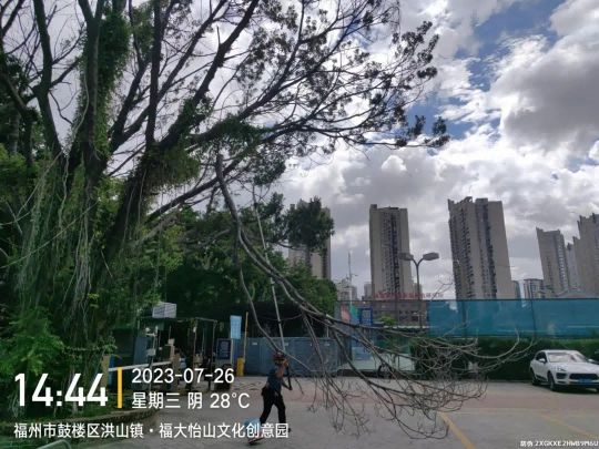 图片 21.jpg